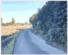  2025Ÿ��2057 ���� ���ֽ� ��õ�� ���긮 2310      ����(��1)���