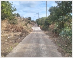  2025Ÿ��6037 ���� �������� ������ ���긮 1499      ����(��1)���