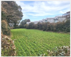  2025Ÿ��6037 ���� �������� ������ ���긮 1499      ����(��1)���