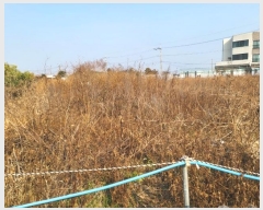  2025Ÿ��6037 ���� �������� ������ ���긮 1499      ����(��1)���