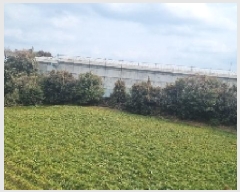  2025Ÿ��6037 ���� �������� ������ ���긮 1499      ����(��1)���