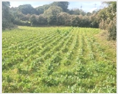  2025Ÿ��6037 ���� �������� ������ ���긮 1499      ����(��1)���