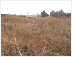  2025Ÿ��6037 ���� �������� ������ ���긮 1499      ����(��1)���