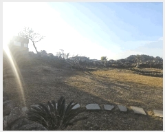  2025Ÿ��6228  �������