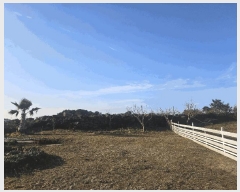  2025Ÿ��6228  �������