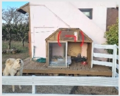  2025Ÿ��6228  �������