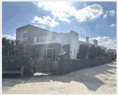  2025Ÿ��7484  ���ð��