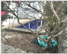  2025Ÿ��7484  ���ð��