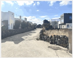  2025Ÿ��7484  ���ð��