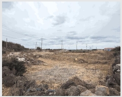  2025Ÿ7493     1612      (1)