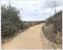  2025Ÿ7493     1612      (1)