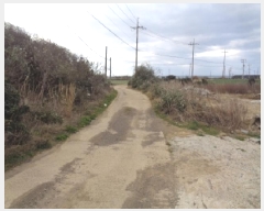  2025Ÿ7493     1612      (1)