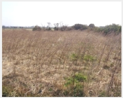  2025Ÿ7502     1198-1      (1)