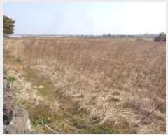  2025Ÿ7502     1198-1      (1)