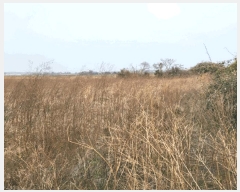  2025Ÿ7502     1198-1      (1)