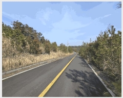  2025Ÿ��7529 ���� ���ֽ� ������ �۴縮 2007-3      ����(����)���