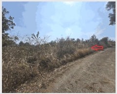  2025Ÿ��7529 ���� ���ֽ� ������ �۴縮 2007-3      ����(����)���