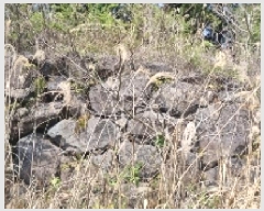  2025Ÿ��7529 ���� ���ֽ� ������ �۴縮 2007-3      ����(����)���