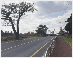  2025Ÿ��7684  �����