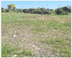  2025Ÿ��7684  �����