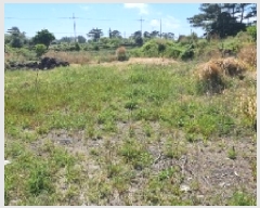  2025Ÿ��7684  �����