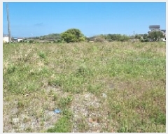  2025Ÿ��7684  �����