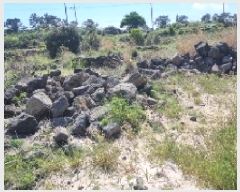  2025Ÿ��7684  �����