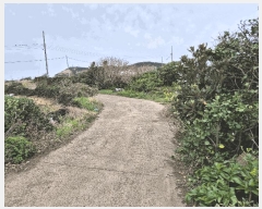  2025Ÿ7726  ֽ 쵵  140      (1)