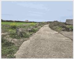  2025Ÿ7726  ֽ 쵵  140      (1)