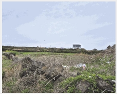  2025Ÿ7726  ֽ 쵵  140      (1)