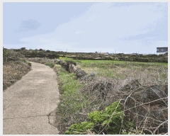  2025Ÿ7726  ֽ 쵵  140      (1)