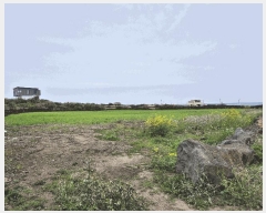  2025Ÿ7726  ֽ 쵵  140      (1)