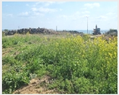  2025Ÿ7726  ֽ 쵵  140      (1)