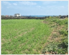  2025Ÿ7726  ֽ 쵵  140      (1)