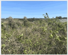  2025Ÿ7844  ֽ ȸõ 2321-1       (Ӿ)