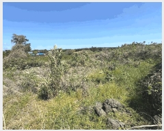  2025Ÿ7844  ֽ ȸõ 2321-1       (Ӿ)