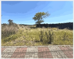  2025Ÿ7844  ֽ ȸõ 2321-1       (Ӿ)