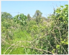  2025Ÿ7844  ֽ ȸõ 2321-1       (Ӿ)