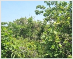  2025Ÿ7844  ֽ ȸõ 2321-1       (Ӿ)