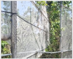  2025Ÿ7844  ֽ ȸõ 2321-1       (Ӿ)