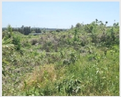  2025Ÿ7844  ֽ ȸõ 2321-1       (Ӿ)