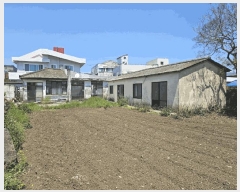  2025Ÿ��7862  ���ð��