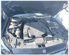  2025Ÿ��8013  �������