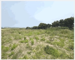  2025Ÿ��8031  �����