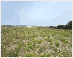  2025Ÿ��8031  �����