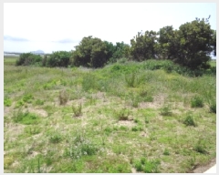  2025Ÿ��8031  �����