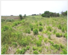  2025Ÿ��8031  �����