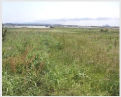  2025Ÿ��8031  �����