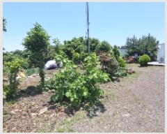  2025Ÿ��8086  �Ӿ߰��