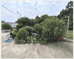  2025Ÿ��8086  �Ӿ߰��